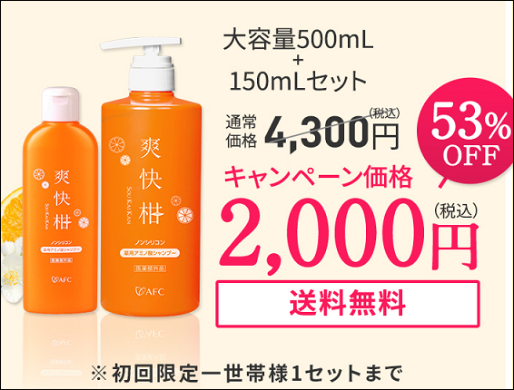 �u���� �X�M���